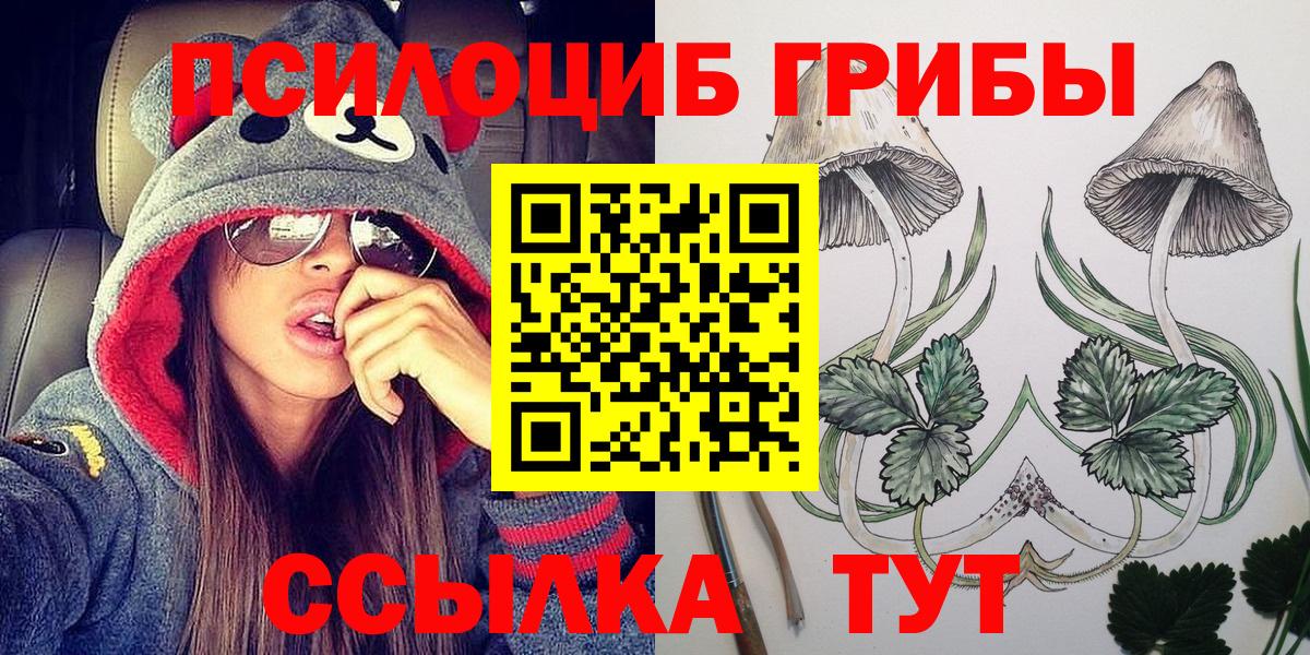 Псилоцибиновые грибы Cubensis  Вход с VPN  Галлюциногенные грибы ЛСД  Владикавказ 